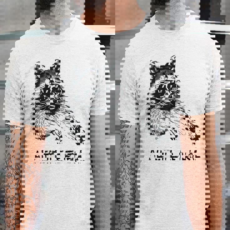 Raccoon & Moon Graphic Unisex Jersey T-Shirt | Cute Animal Design