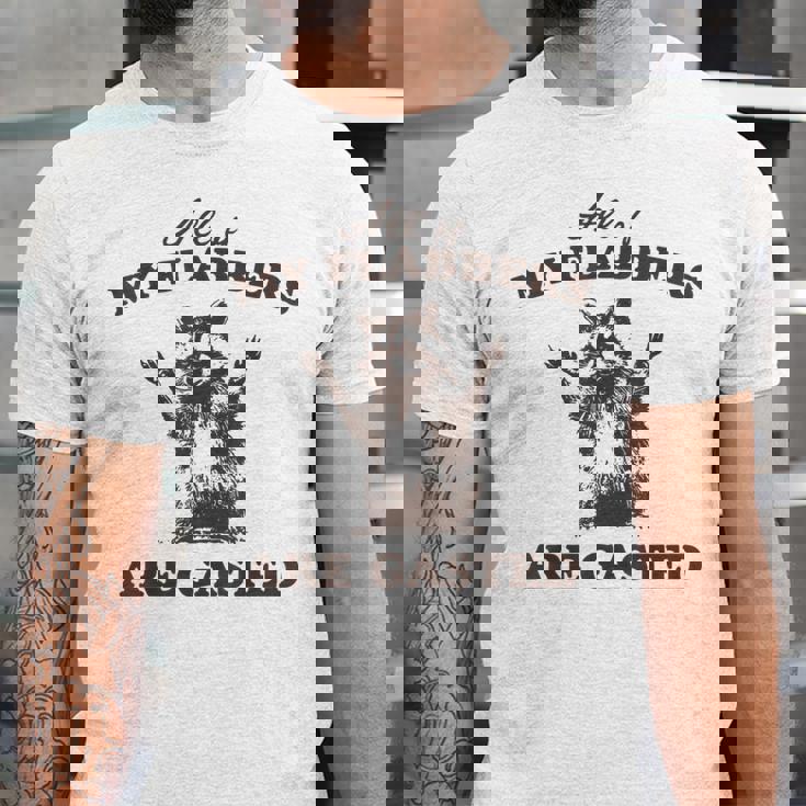 Raccoon Unisex Jersey T-Shirt - Quirky Flabbergasted Design