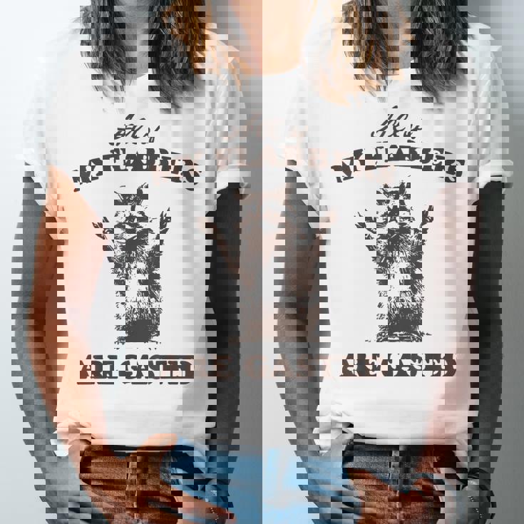Raccoon Unisex Jersey T-Shirt - Quirky Flabbergasted Design