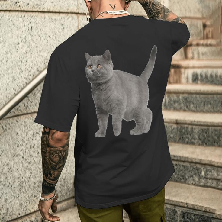 British Short Hair Cat Cat Cat Lovers T-Shirt mit Rückendruck Geschenke für Ihn