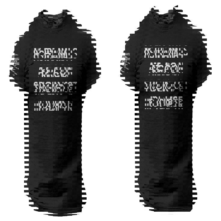 Fat Raccoon Sarcasm Men's Tee - American Flag Sleeve, USA Pride