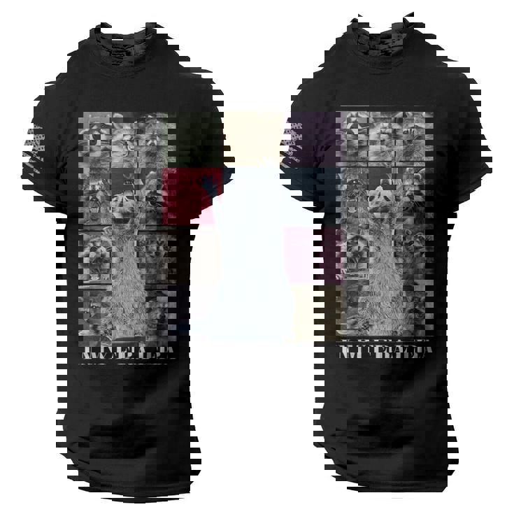 In My Feral Era Raccoon Team | Men's Tee with USA Flag Sleeve
