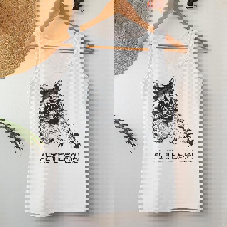 Raccoon Moonlit Mischief Tank Top - Women's Fun Animal Tee Unique Gifts