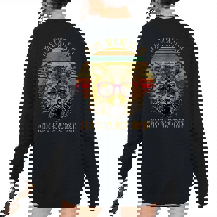 Racoon Trash Panda -Kids Cartoon Women's Oversized Sweatshirt Back Print
