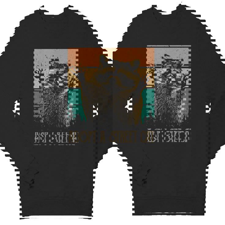 Adopt A Street Cat | Artsy Animal Crewneck Sweatshirt for Youth