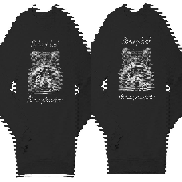 Cute Baby Raccoon Youth Crewneck Sweatshirt - Fun Animal Design