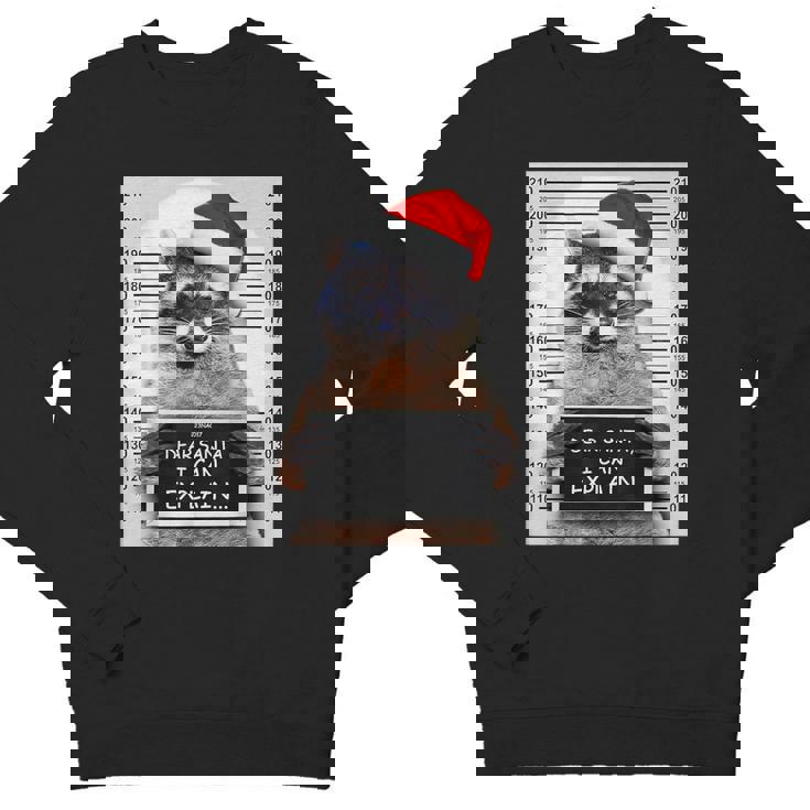 Dear Santa Youth Crewneck Sweatshirt - Funny Raccoon Holiday Design