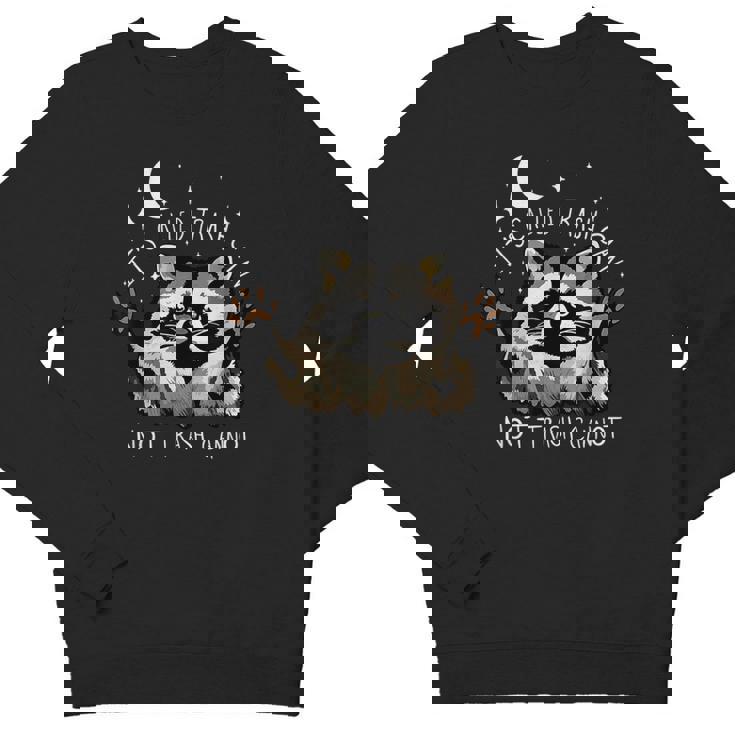 Funny Raccoon Youth Sweatshirt - Amusing Quote Crewneck