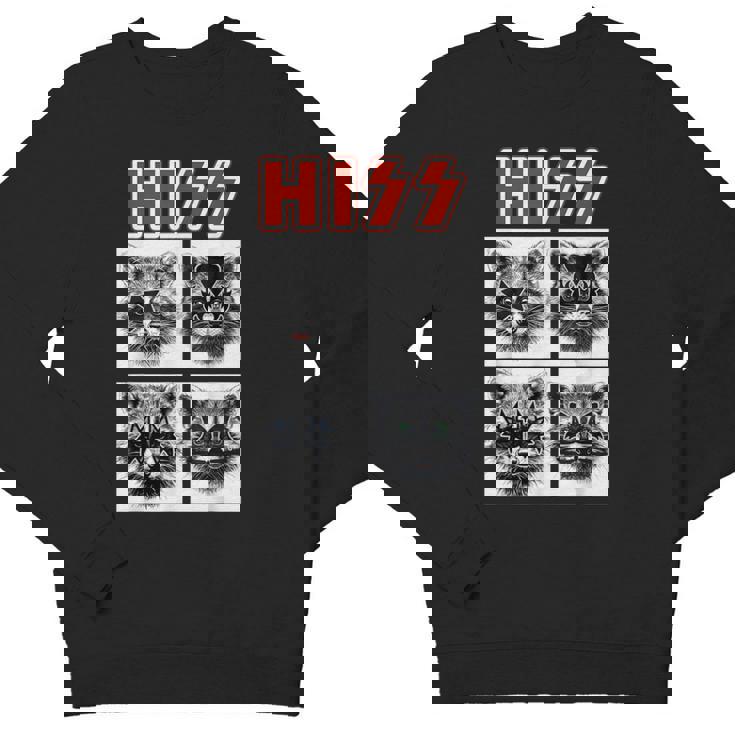 Raccoon Band Concert Sweatshirt for Men, Women & Kids - Youth Crewneck