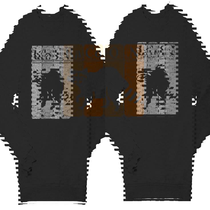 Raccoon Chemistry Crewneck Youth Sweatshirt - Science Fun Apparel