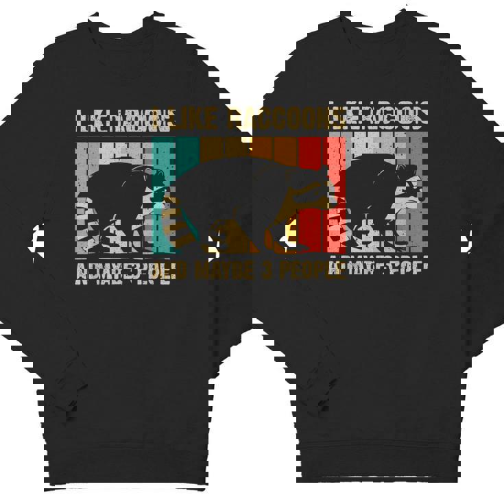 Raccoon Lover Introvert Crewneck Sweatshirt - Unisex Casual Wear