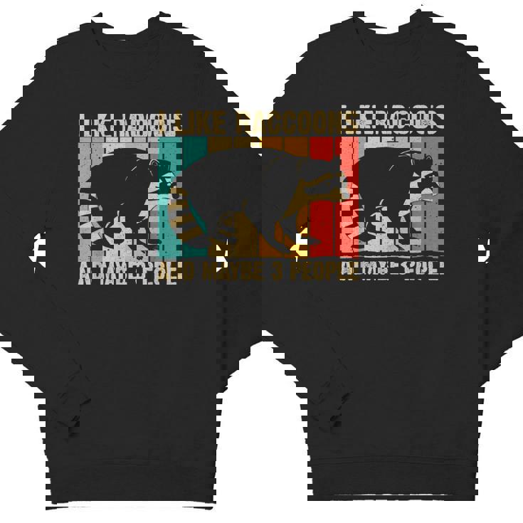 Raccoon Lover Unisex Crewneck Sweatshirt - Introvert Style