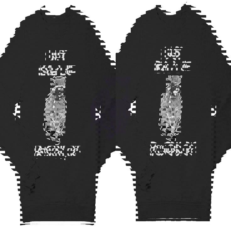 Raccoon Lover Youth Crewneck Sweatshirt – Cute Wildlife Theme