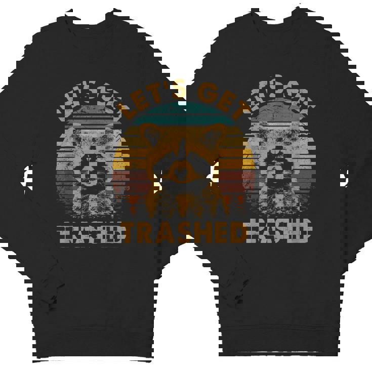Raccoon Lovers Youth Crewneck Sweatshirt - Fun Animal Theme | Small
