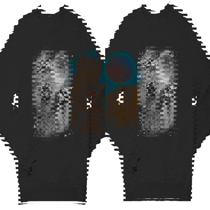 Raccoon Moon Sweatshirt - Unisex Crewneck for All Ages | Cozy