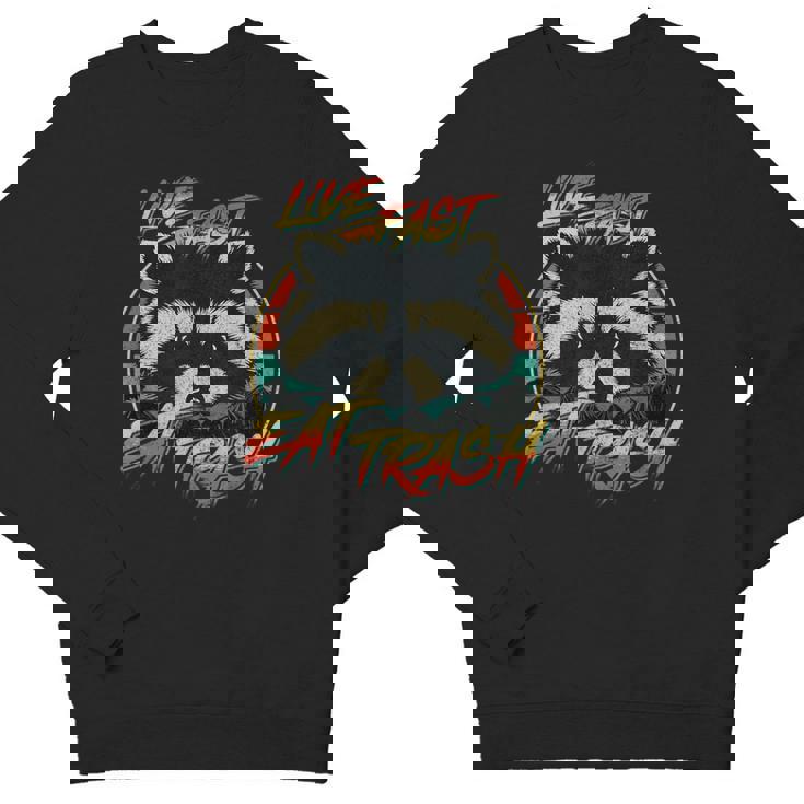 Raccoon Retro Crewneck Sweatshirt | Youth | Fun Graphic Theme