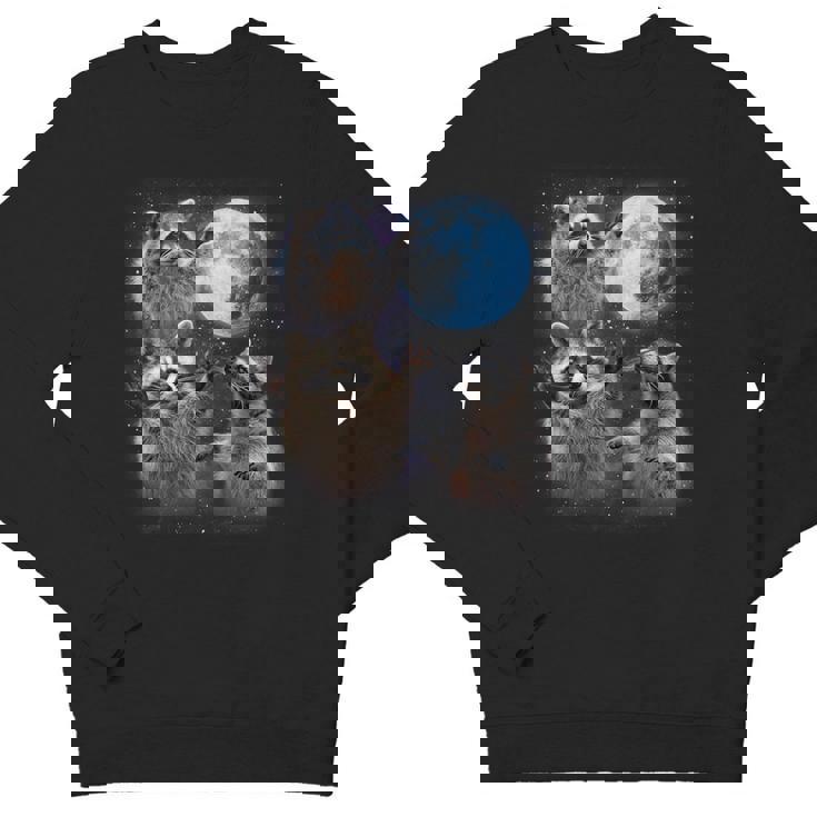 Raccoon Youth Sweatshirt | Whimsical Howling Moon Design