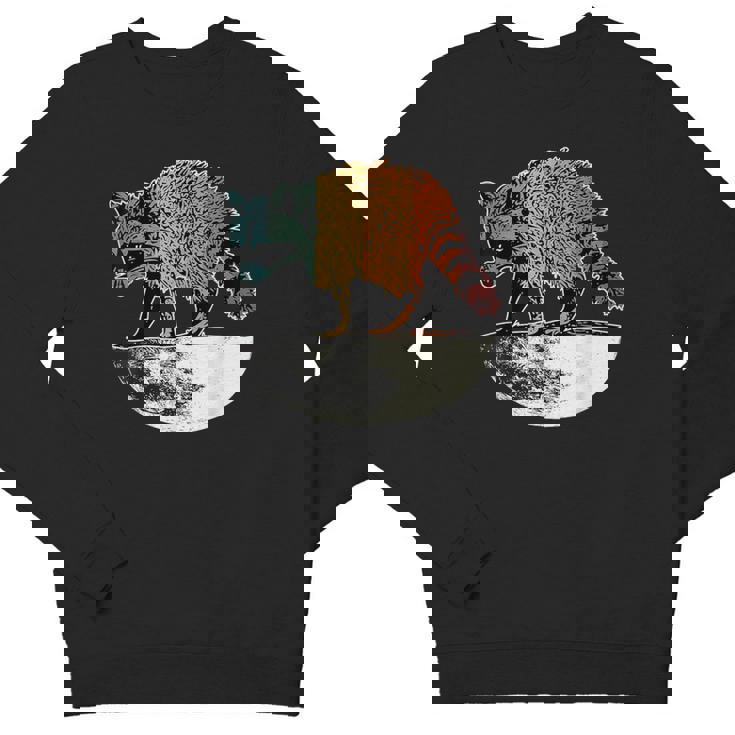 Retro Raccoon Youth Crewneck Sweatshirt – Vintage Moon Theme