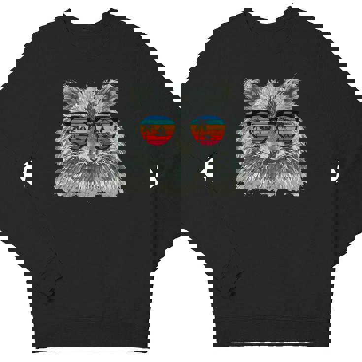 Retro Raccoon Youth Sweatshirt - Cool Sunglasses Design for Animal Lovers
