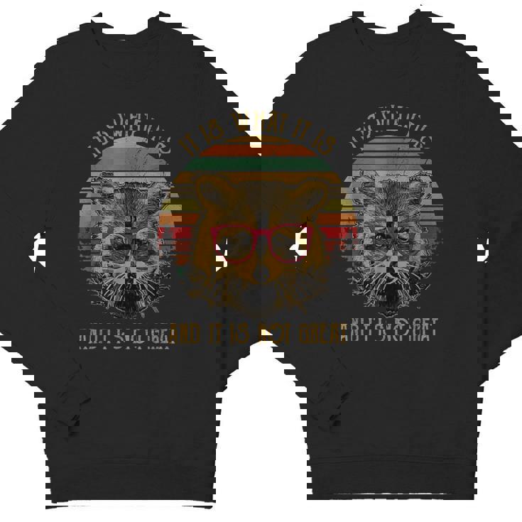 Trash Panda Racoon Kids Cartoon Crewneck Sweatshirt | Unisex Youth Apparel