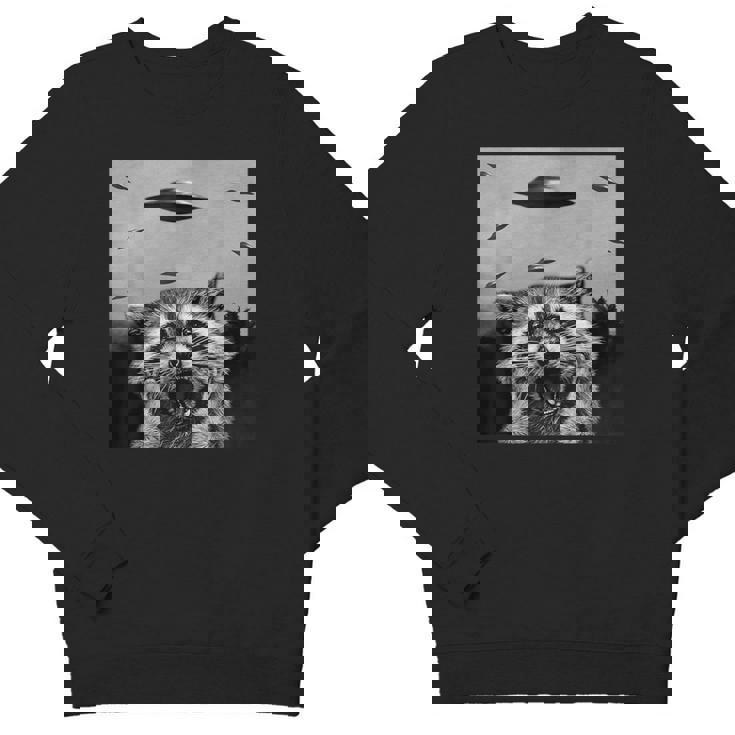 UFO Raccoon Sweatshirt | Alien Design Crewneck for All Ages