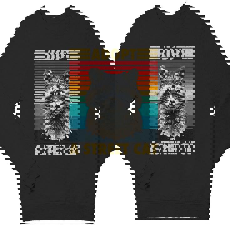 Vintage Retro Raccoon Sweatshirt - Unisex Crewneck for All Ages