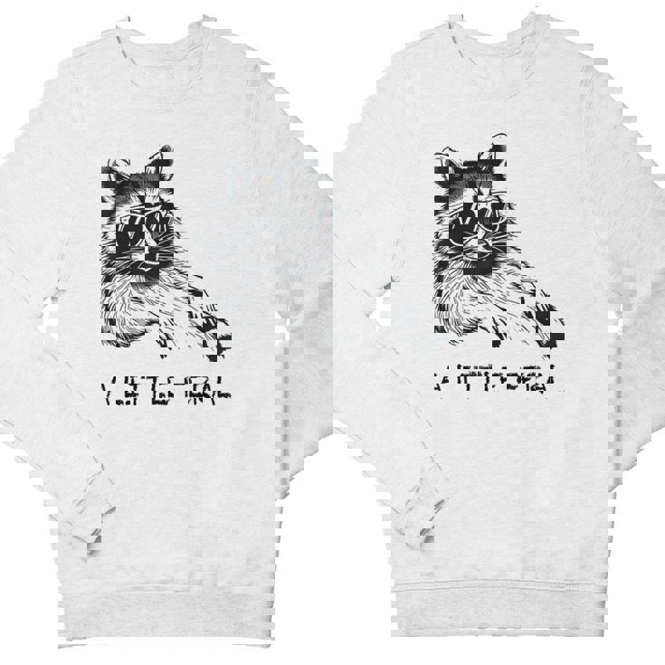 Raccoon Crewneck Sweatshirt for Kids - Moonlit Trash Panda Print