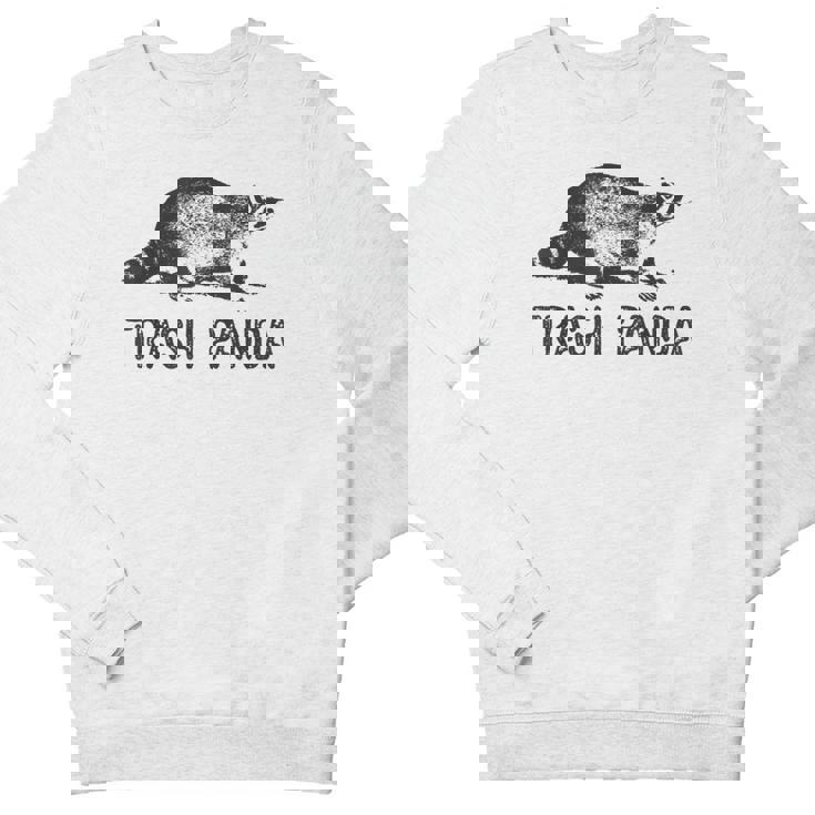 Raccoon Grey T-Shirt - Youth Crewneck - Animal Print Short Sleeve