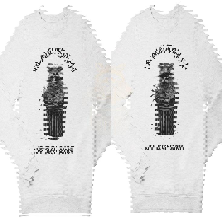 Retro 90s Raccoon Trash Panda Youth Crewneck | Everyday Fun