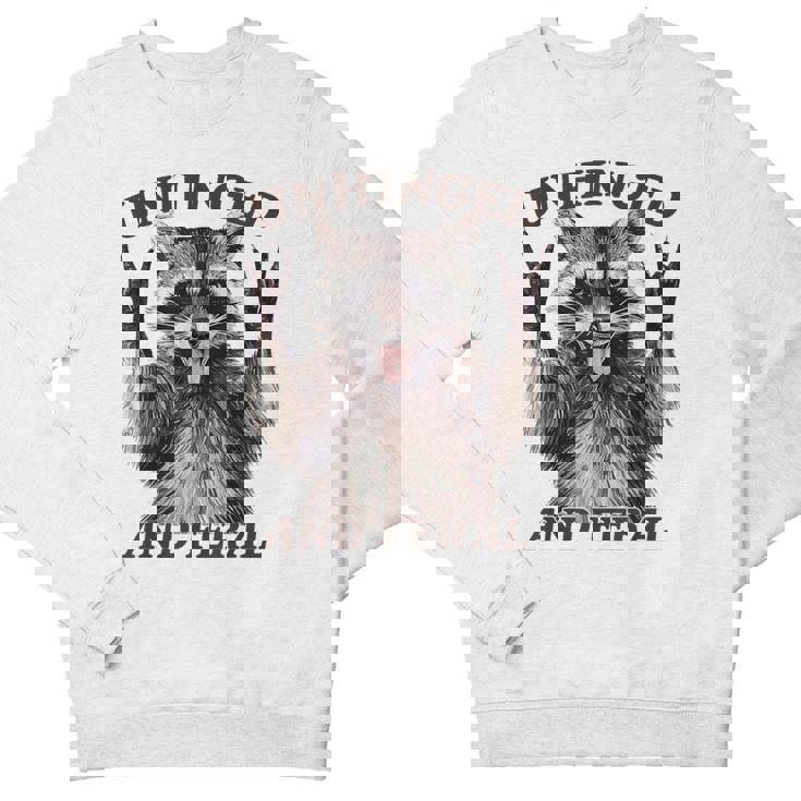 Unhinged Raccoon Youth Crewneck Sweatshirt - Feral Retro Summer Vibes