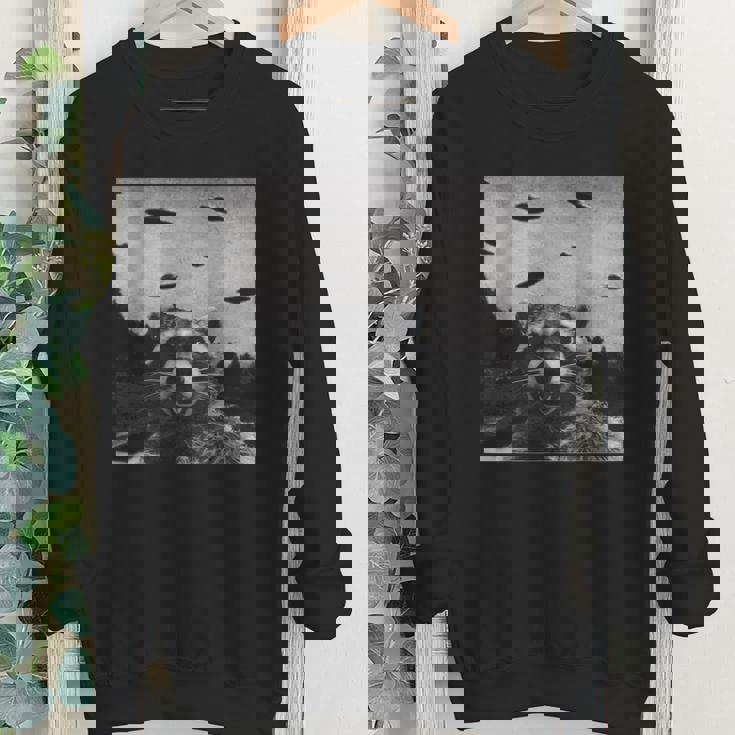 Alien UFO Raccoon Youth Sweatshirt - Unique Space Fun