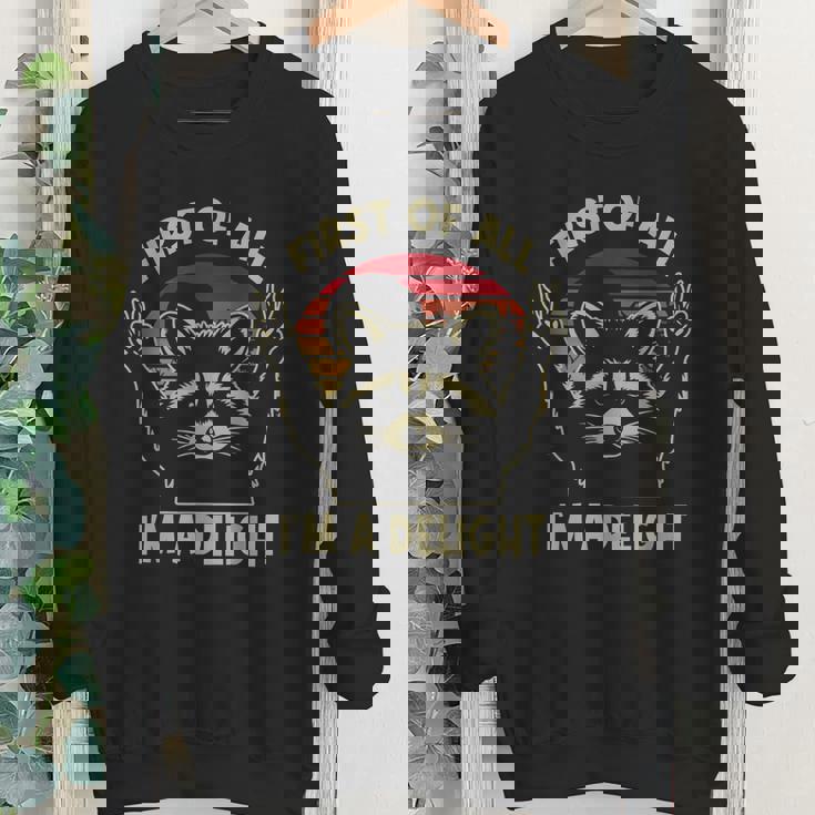 Delightfully Sarcastic Raccoon Lover Youth Sweatshirt - Fun Crewneck