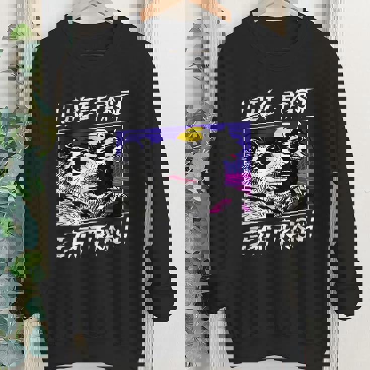 Live Fast Eat Trash Sweatshirt - Raccoon & Opossum Adult Top