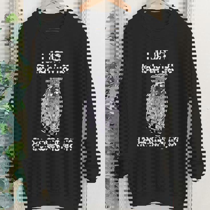 Raccoon Lover Youth Crewneck Sweatshirt – Cute Wildlife Theme