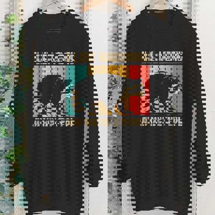 Raccoon For Men Women Raccoon Lover Introvert Youth Crewneck Sweatshirt