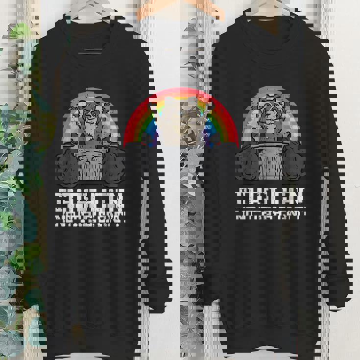 Raccoon Trash Can Not Cant Street Cat Men Women Kids Youth Crewneck Sweatshirt