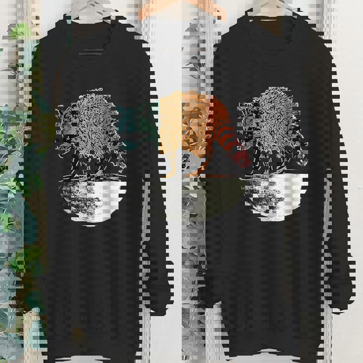 Retro Raccoon Youth Crewneck Sweatshirt – Vintage Moon Theme