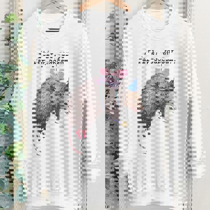 It Is I Your Fairy Godpossum Raccoon Trash Panda Youth Crewneck Sweatshirt