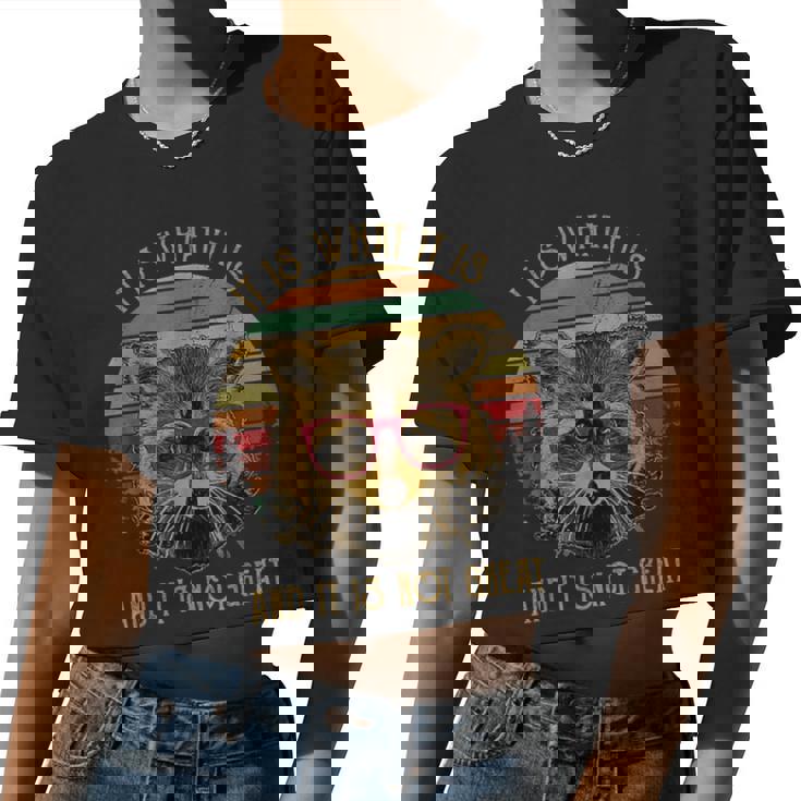 Raccoon Trash Panda Kids Cartoon Women's Crop Top