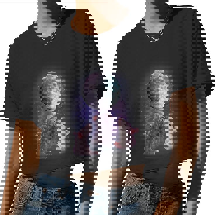 Rats Howling at the Moon Crop Top - Women's Lunar Night Tee