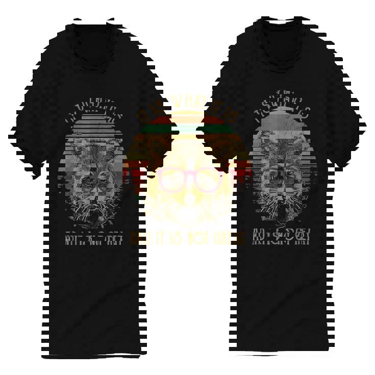 Racoon Trash Panda Kids' Cartoon Ringer Tee - Fun Unisex Style