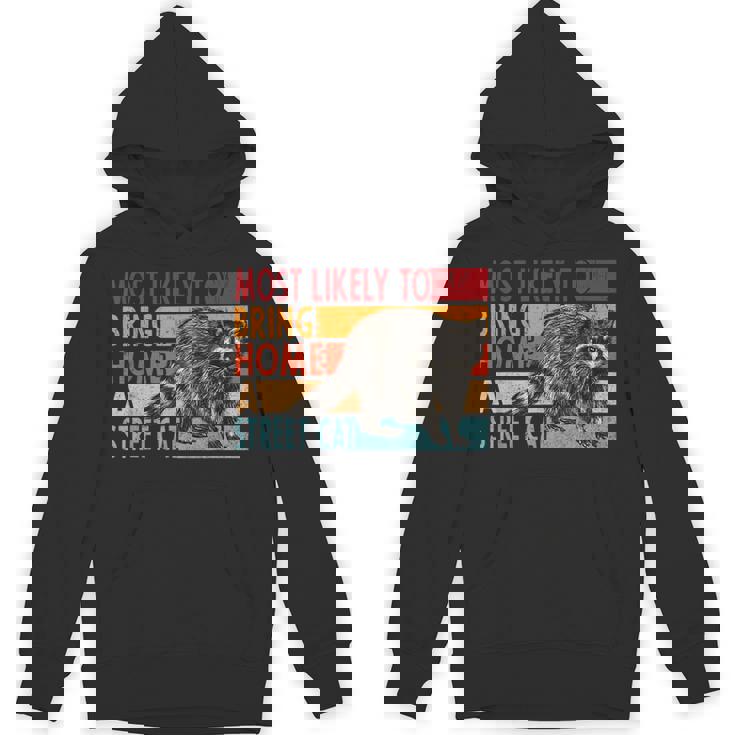 Adopt a Street Cat Hoodie - Funny Raccoon Design for Animal Lovers