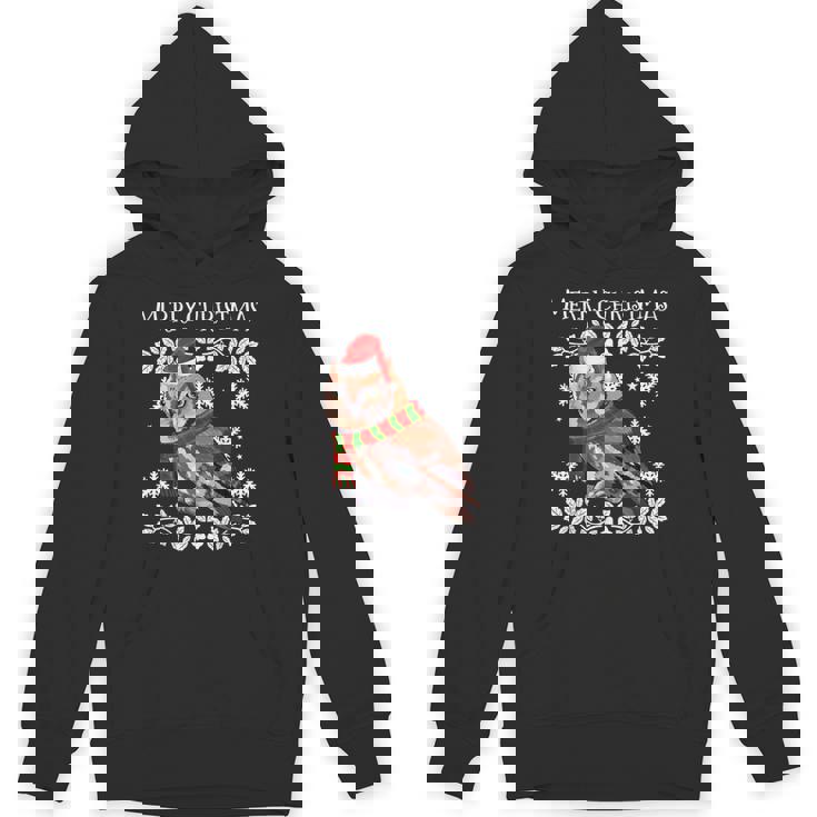 Bird Merry Christmas Ornament Eastern Screech-Owl Ugly Xmas Unisex Hoodie