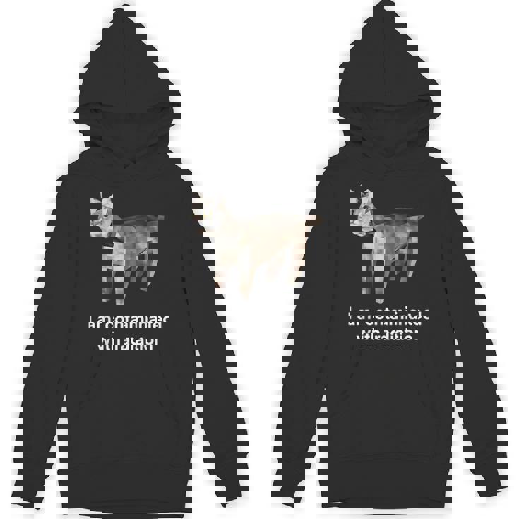 I Am Contaminated With Radiation Cat Meme Hoodie