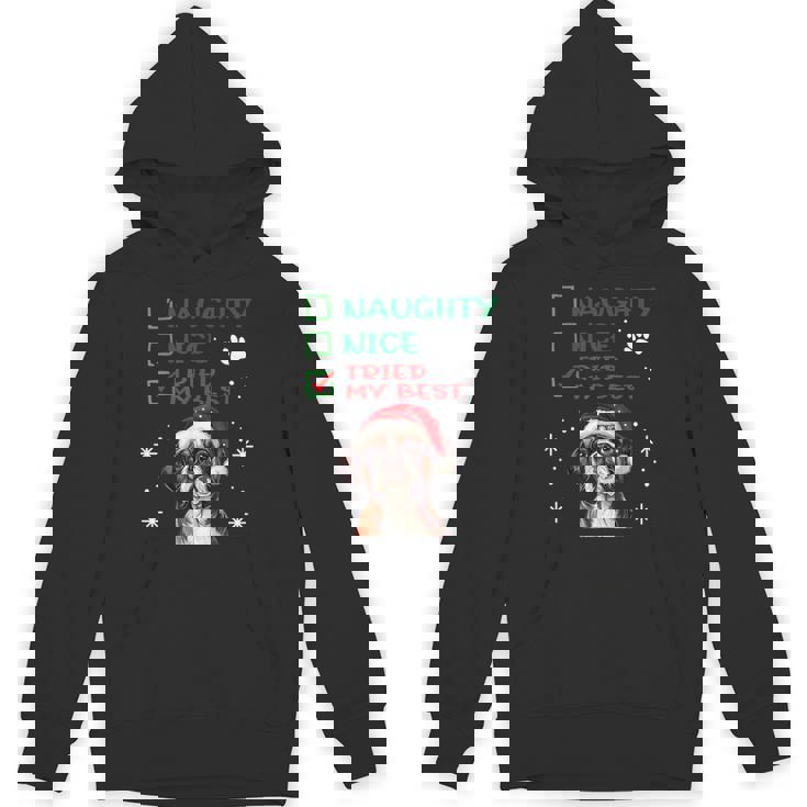 Cute Boxer Dog Dog Christmas Naughty Nice Tried My Best Hoodie