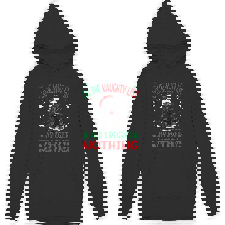 Cute Newfoundland Dog Christmas On The Naughty List And I Unisex Hoodie