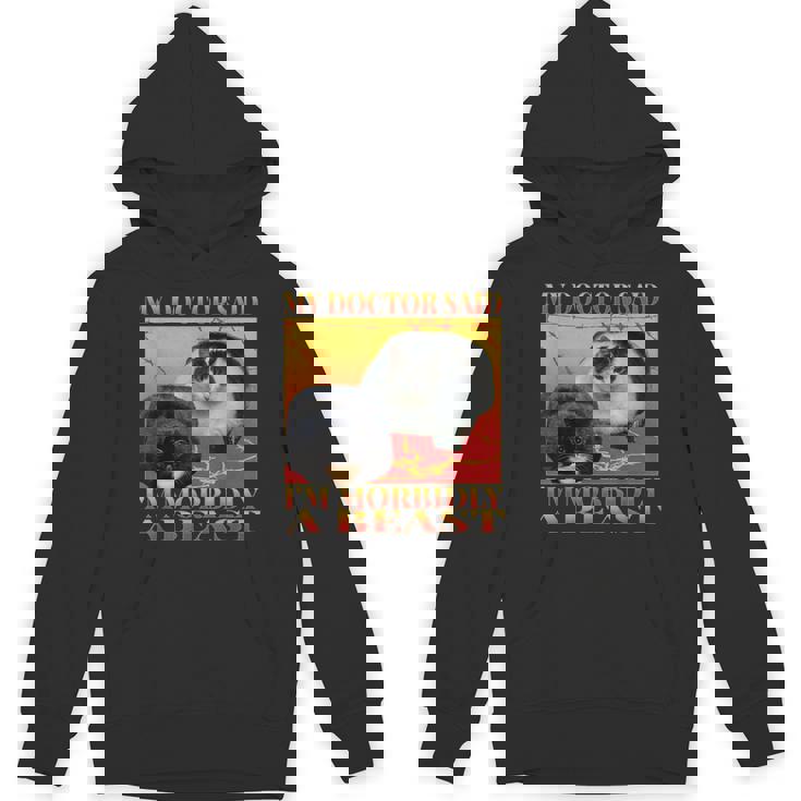 My Doctor Said I'm Morbidly A Beast Silly Fat Cat Meme Hoodie