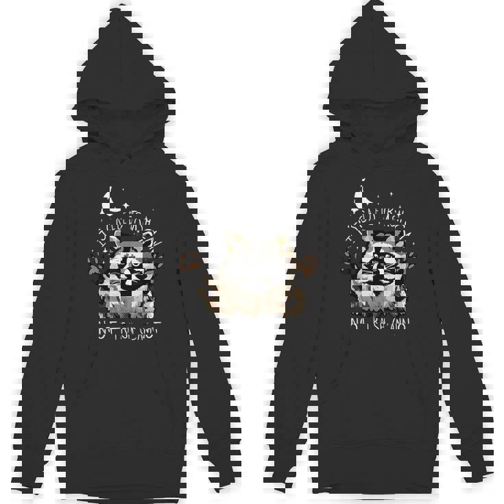 Funny Raccoon Unisex Hoodie - Playful Quote for Casual Comfort