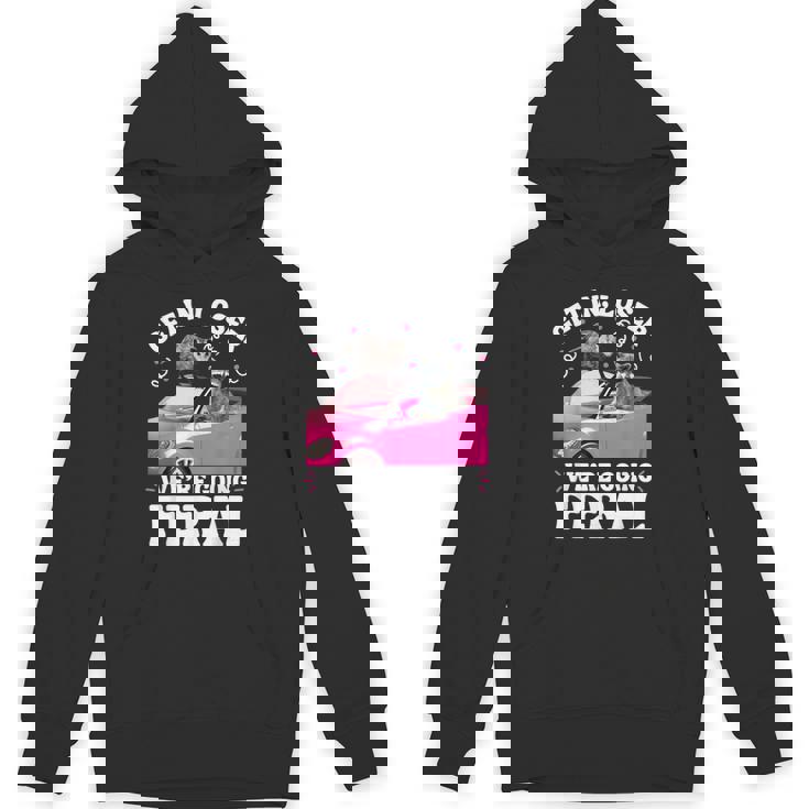 Get In Loser Raccoon Opossum Hoodie - Funny Unisex Meme Apparel