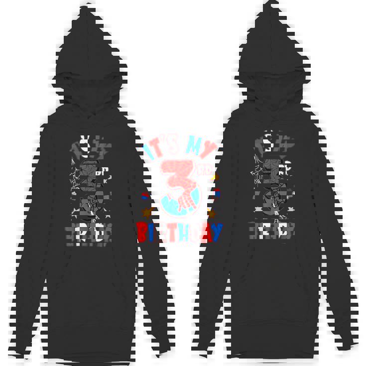 It's My 3Rd Birthday Spider Theme Party Boy Birthday Hoodie
